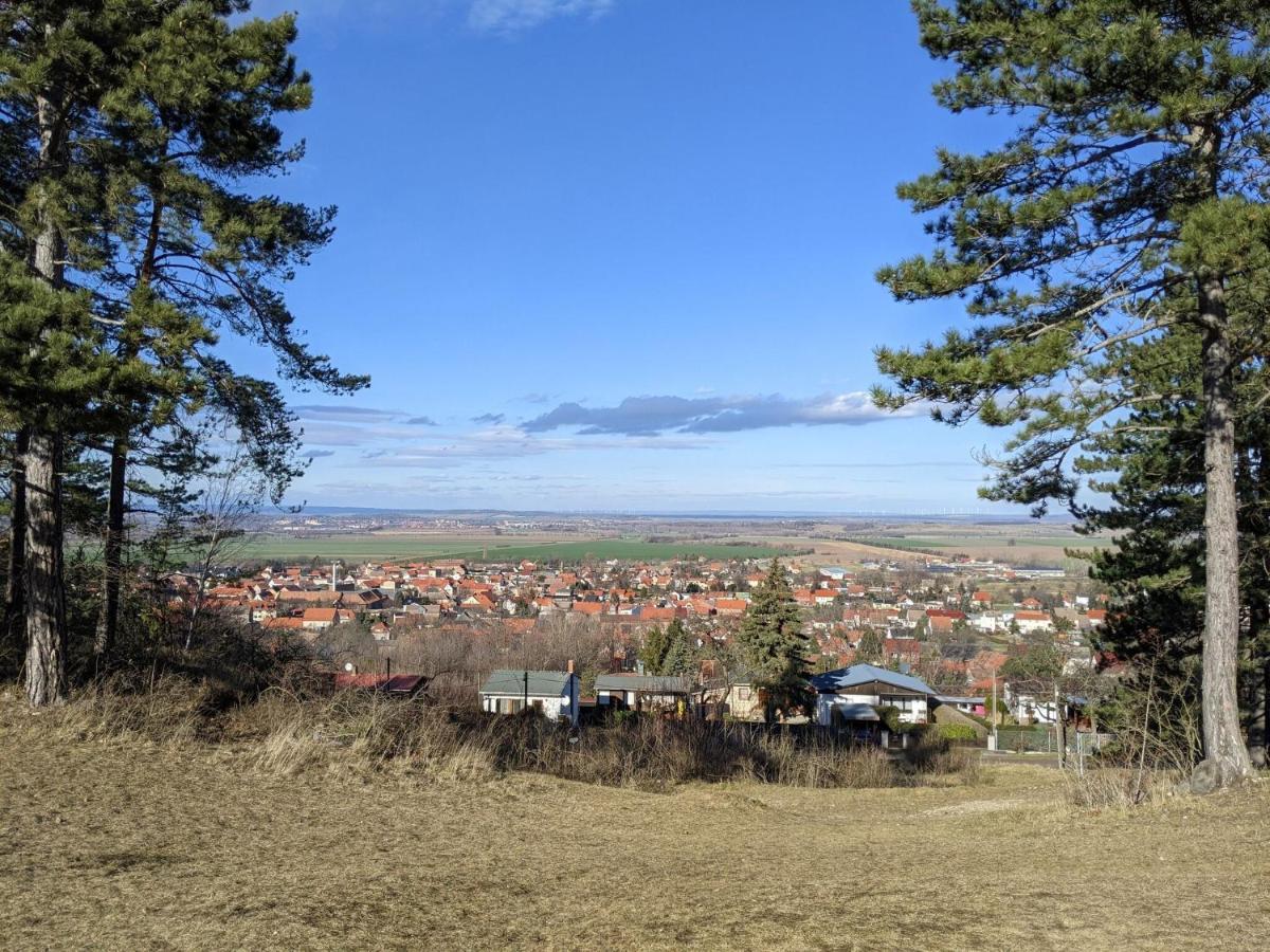 Holiday Home On The Mountain With Views Ballenstedt Eksteriør bilde