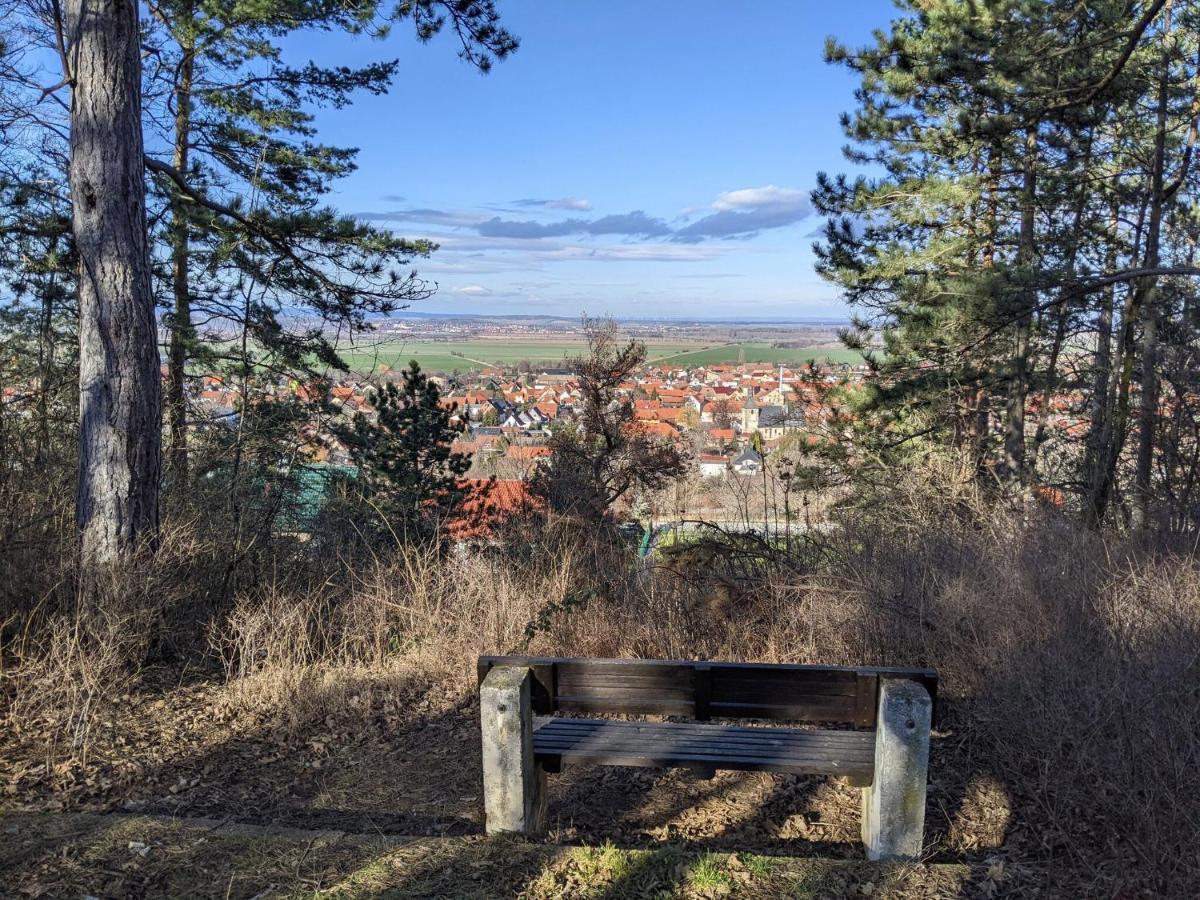 Holiday Home On The Mountain With Views Ballenstedt Eksteriør bilde